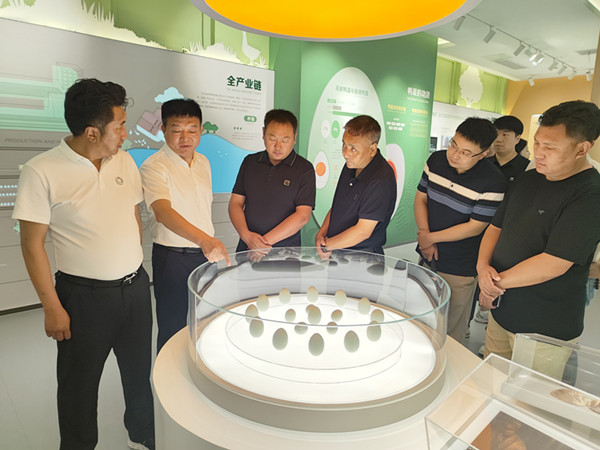 達日縣政企代表團來鴨集團考察交流 (2)_副本.jpg